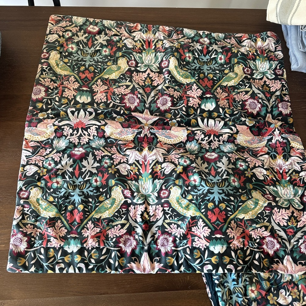 Pair of velvet euro shams